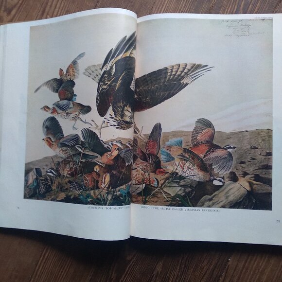 Three Hundred Years of American Painting - Time Life 1957 - Picture 5 of 8